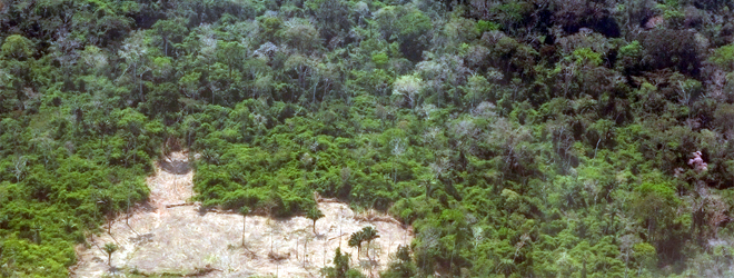 Fiji National REDD Plus Programme Workshop underway