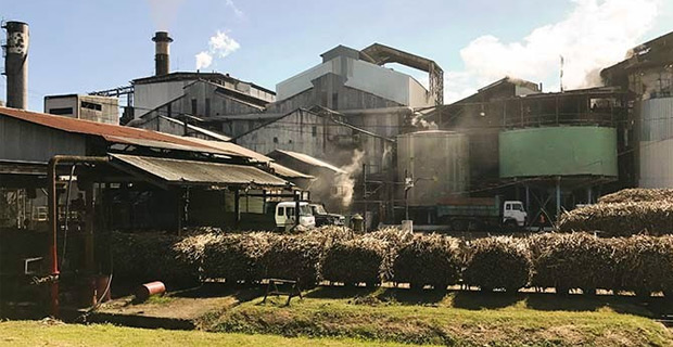 FSC announces date for next crushing season