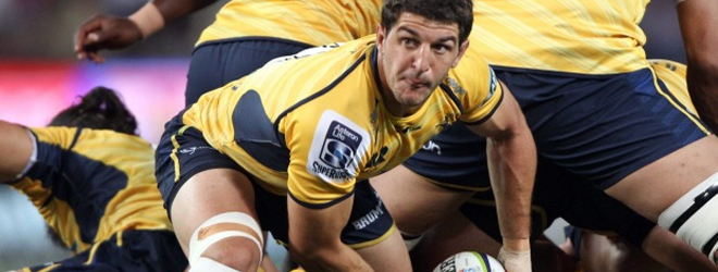 Cubelli confident Brumbies can handle high and intense quarterfinal 