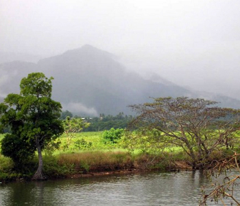 Police confirm Labasa father threw 4 of his children into river