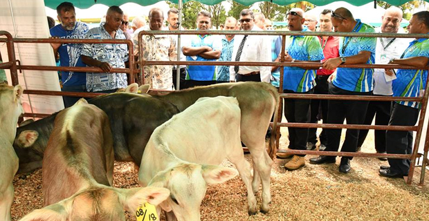 Reddy launches embryo transfer program at the Sigatoka Research Station