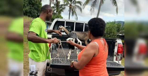 Total of 22 reports of livestock theft recorded in the Western Division from 1st of November