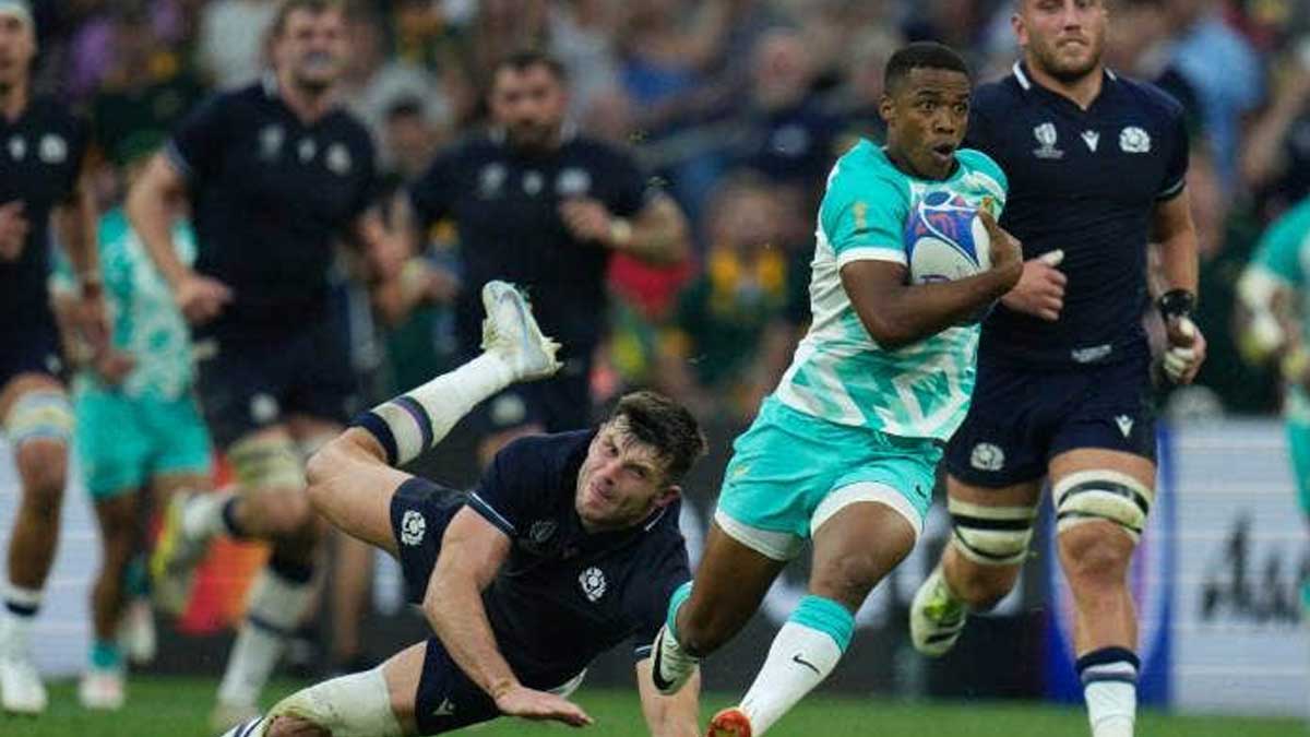 Springboks name four halfbacks for Rugby World Cup match