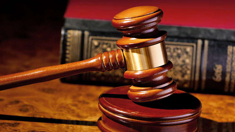 Hot Bread Kitchen fined $10k for overcharging price-controlled small wholemeal sliced bread last year - Vimarsana News