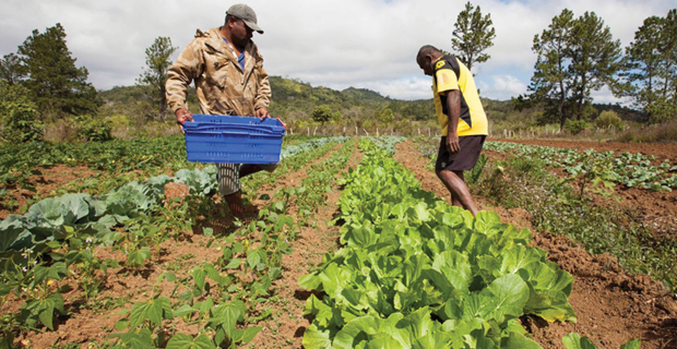 Farmers now have access to various information on farming through PacFarmer mobile App 