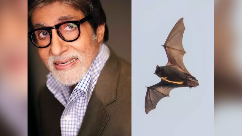 Amitabh Bachchan accommodates an unwelcomed guest into his home amid COVID-19 lockdown