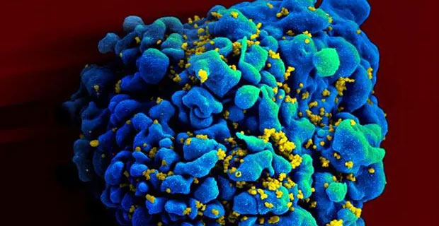 End to AIDS in sight as huge study finds drugs stop HIV transmission