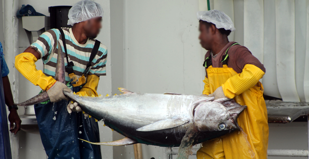 Reports shows Fiji has exported a total estimated value of $125M of Fish in 2016/2017