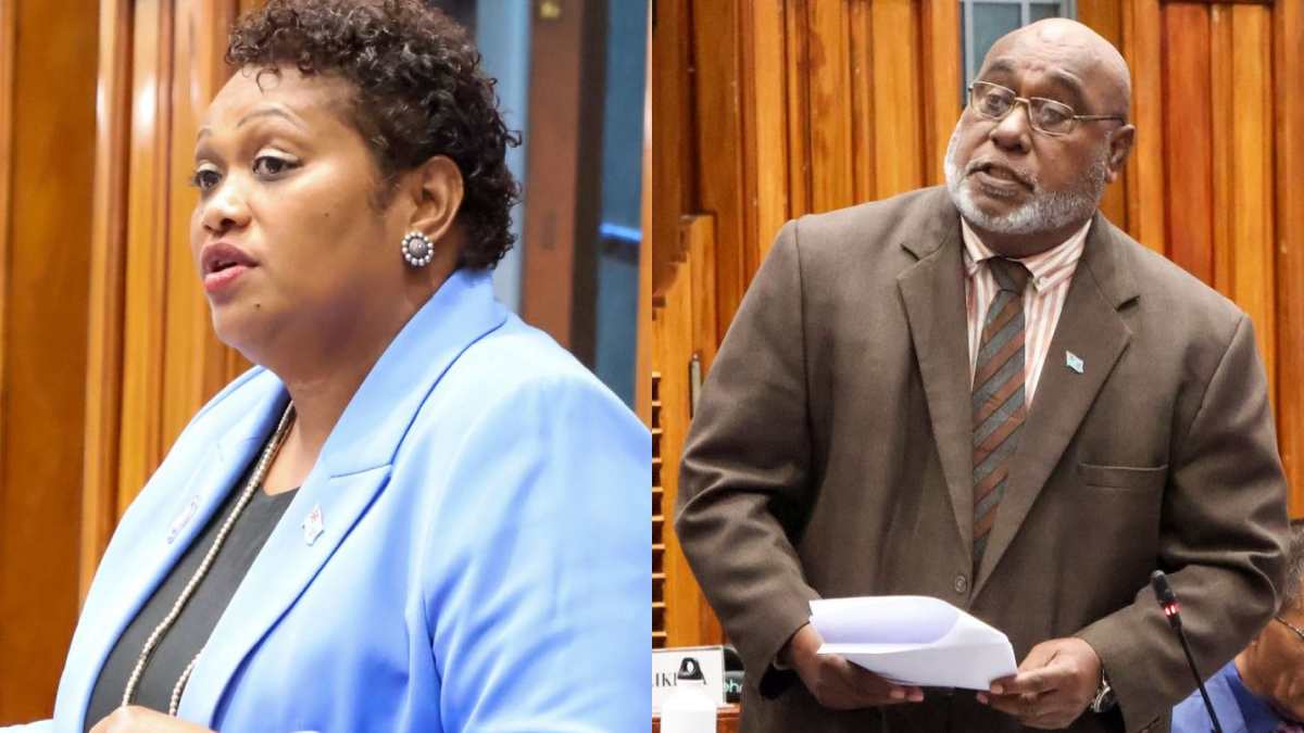 The use of chemicals to protect timber from termite attack is the only solution-Bainivalu