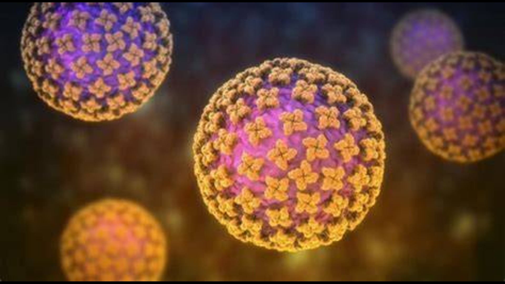 No Hantavirus cases in Fiji, risk remains low - Health Ministry