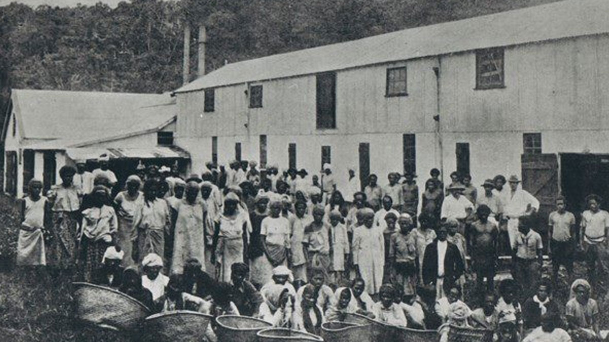 147 years on: Girmit sacrifices and contribution to Fiji highlighted