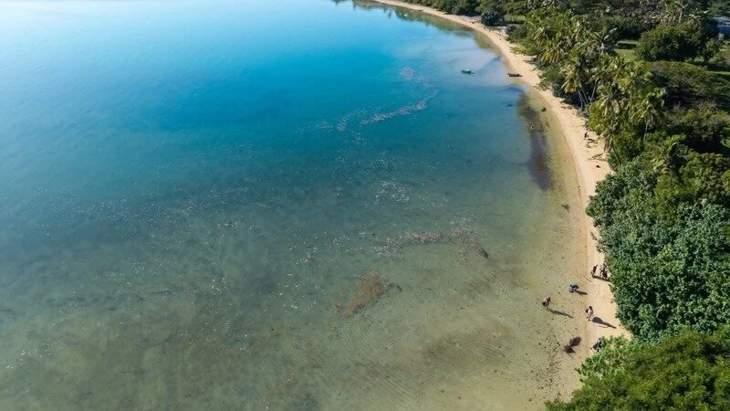 NatureFiji warns Fiji not ready for proposed $1.4B waste-to-energy project in Vuda