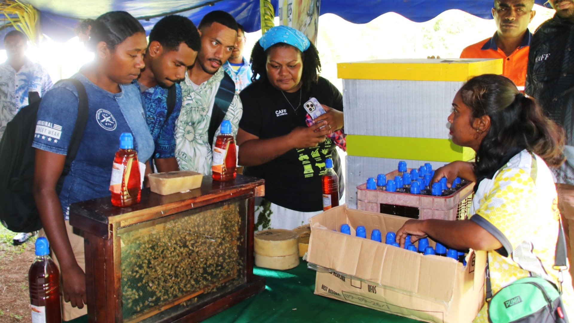 More than 1,200 beekeepers driving Fiji’s growing honey industry