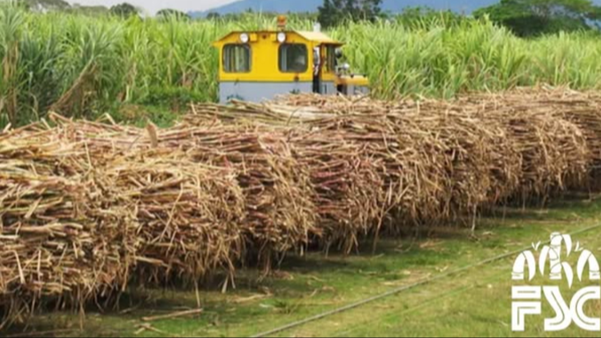 FSC clarifies it did not receive or manage $1.7M tramline upgrade funding