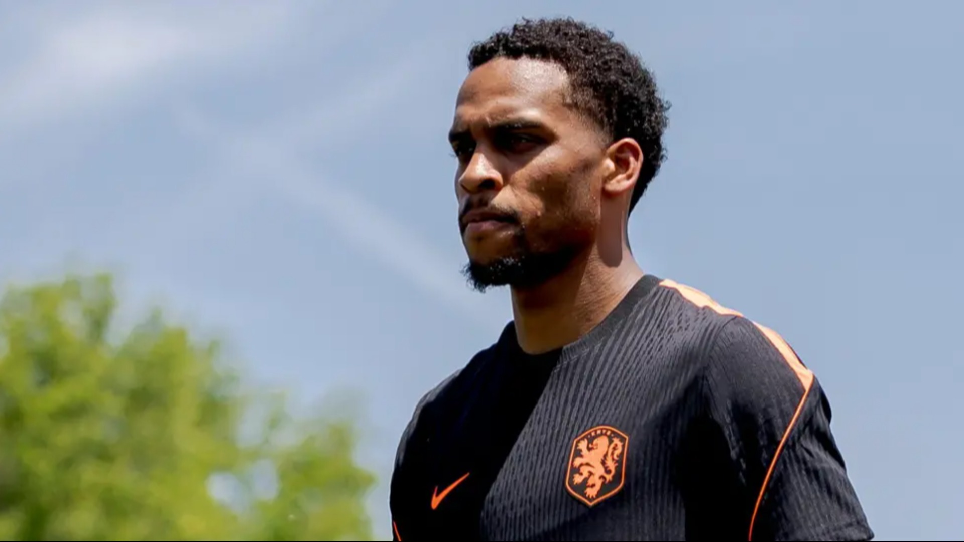 Netherlands' Timber out of World Cup with injury