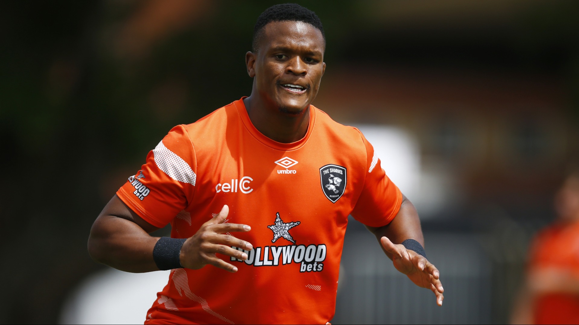 Springboks add Buthelezi and Sadie ahead of international season