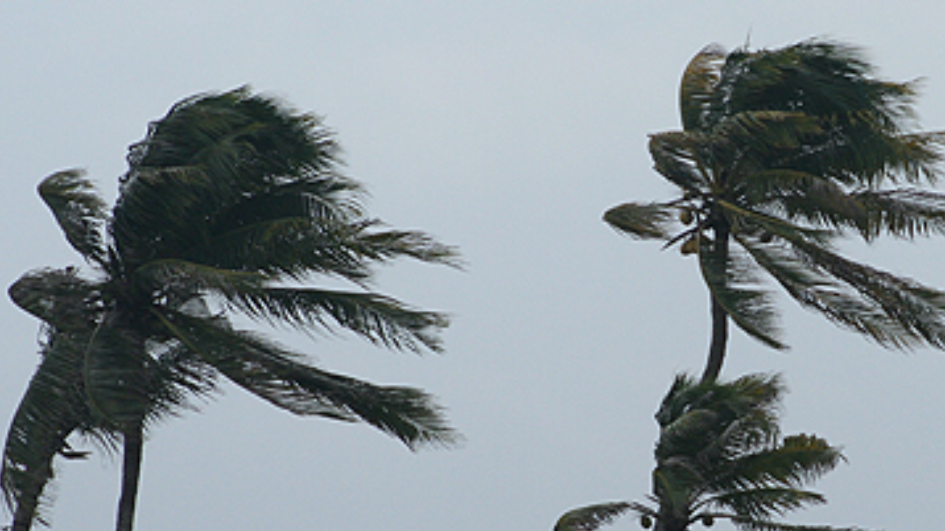 Damaging Heavy Swell Alert issued for Southwest Viti Levu, Lau Waters and Koro Sea