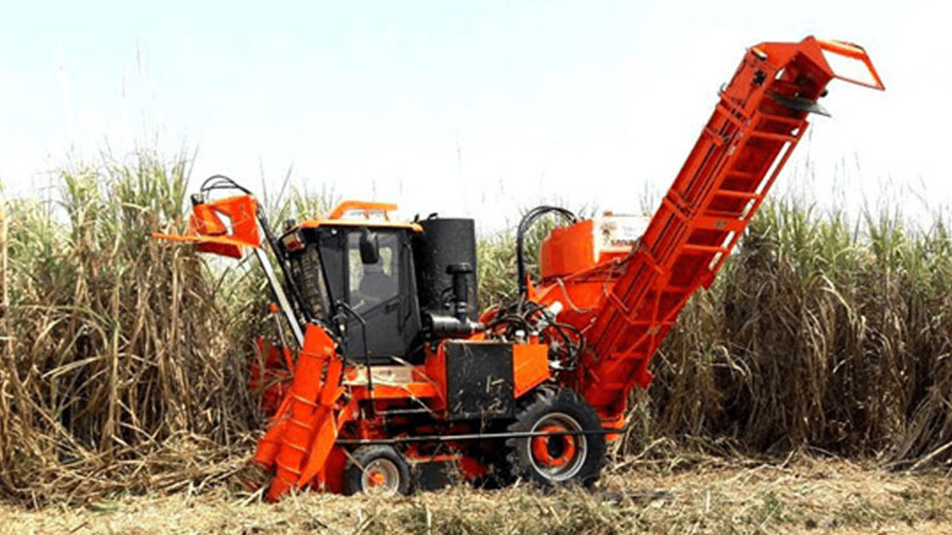Prof. Prasad calls for fuel subsidy for sugarcane harvesters and cane lorry operators
