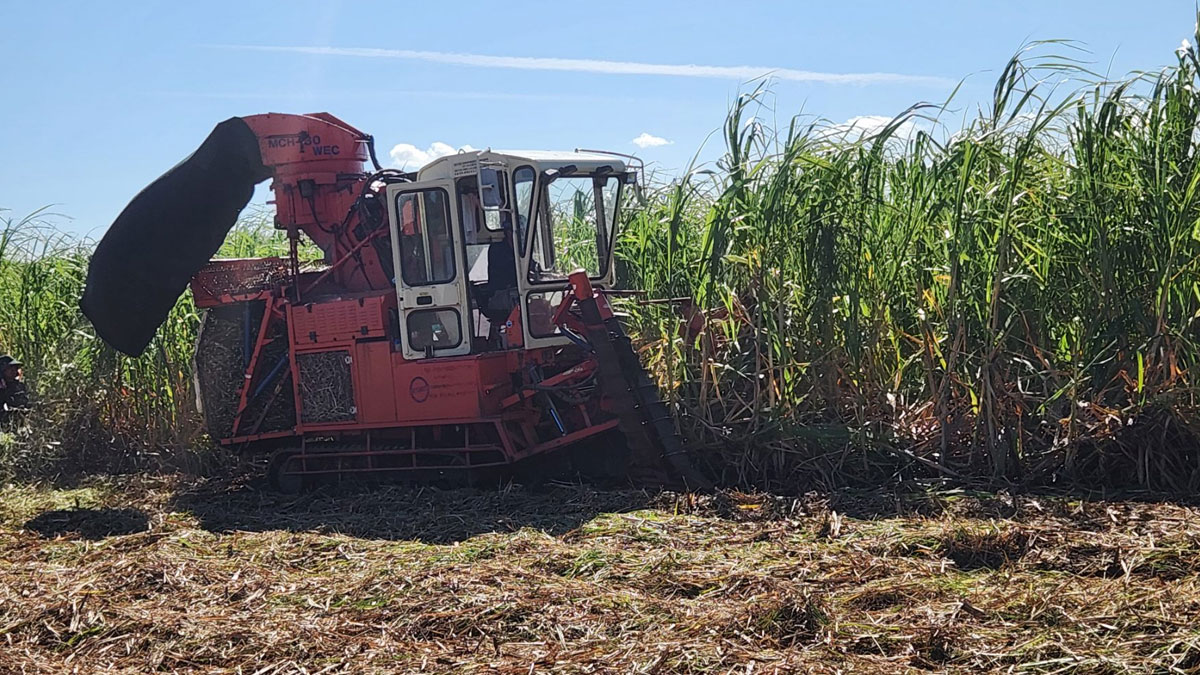 Harvesting and lorry operators to receive higher rates after FCCC approval