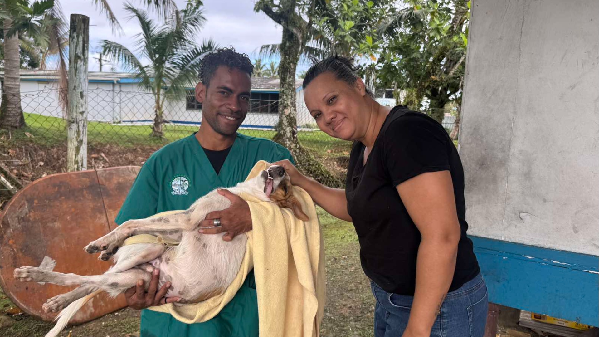 Domain resident gives injured stray dog a second chance