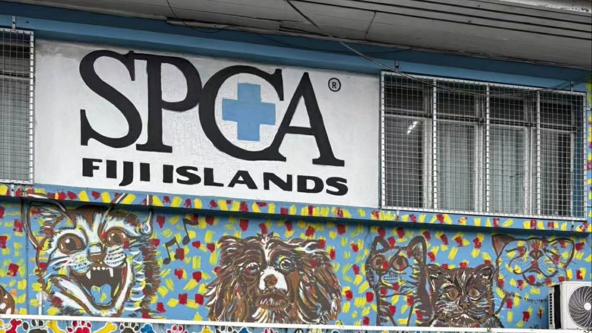 SPCA Fiji welcomes landmark Budget measures to boost animal welfare