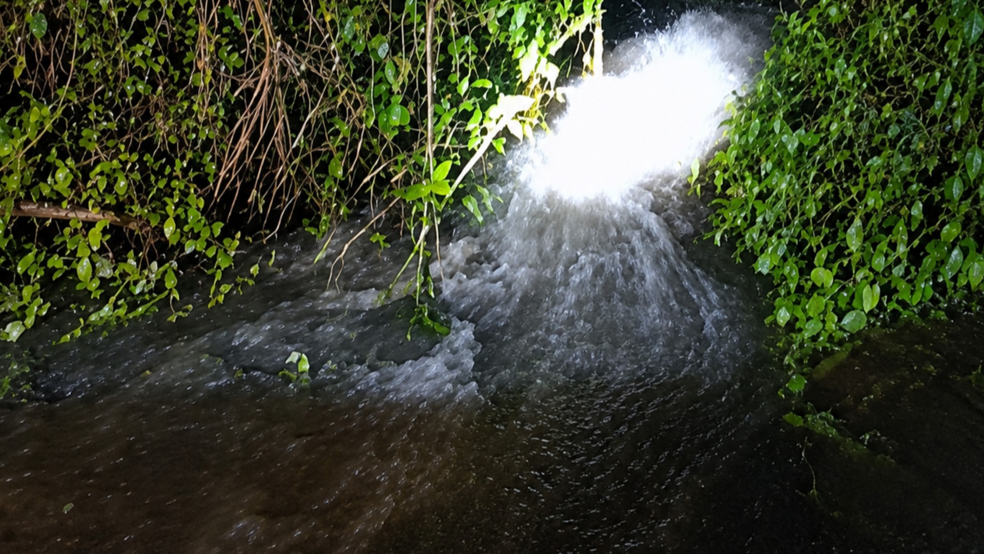 Thousands without water after major Tamavua-i-Wai water main burst