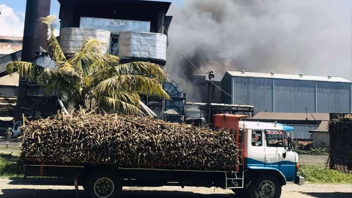 FSC urges immediate cane harvesting, warns delays could cost millions and threaten sugar exports