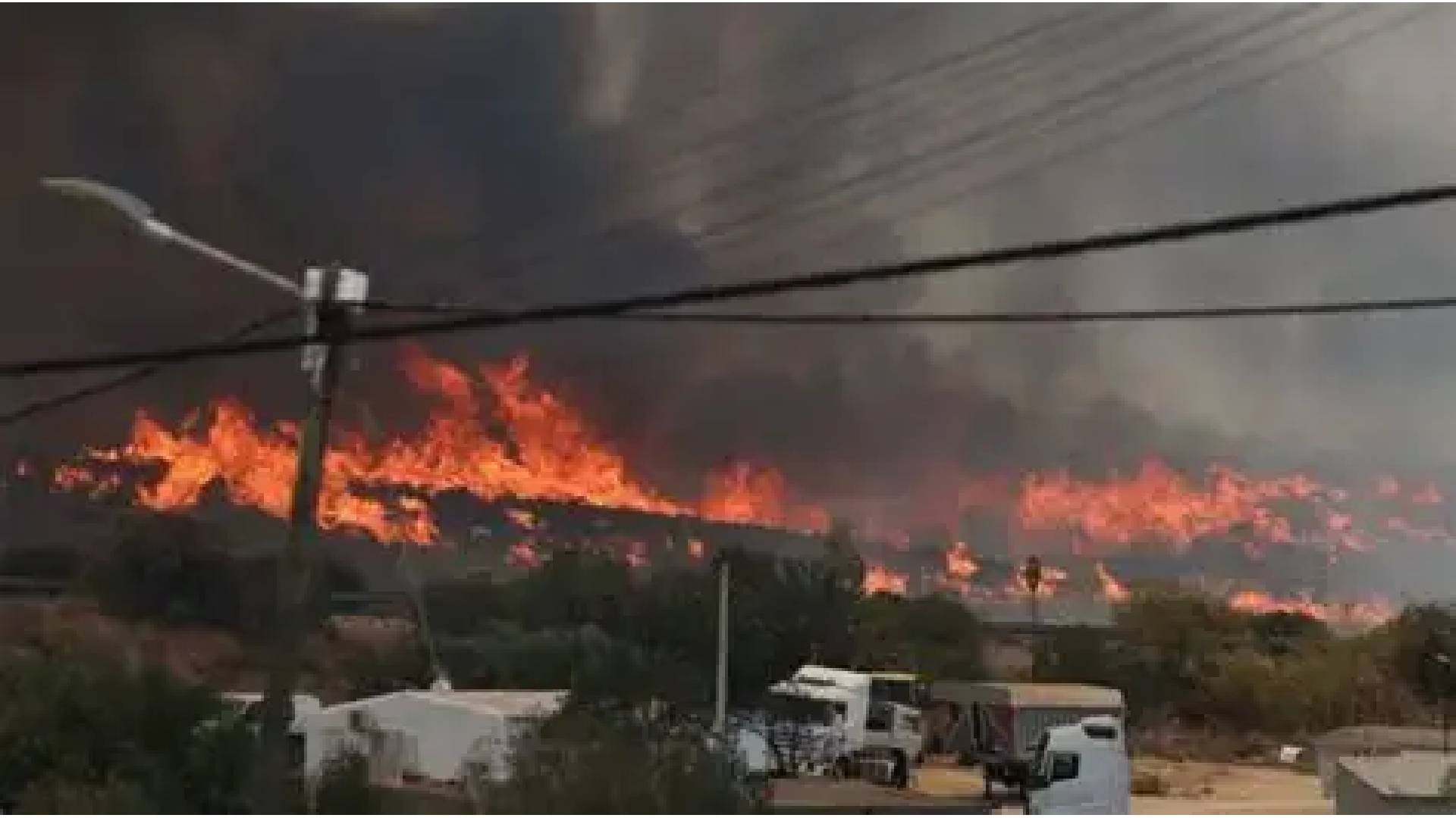 Wildfire in southern Spain leaves at least 12 dead and 23 missing