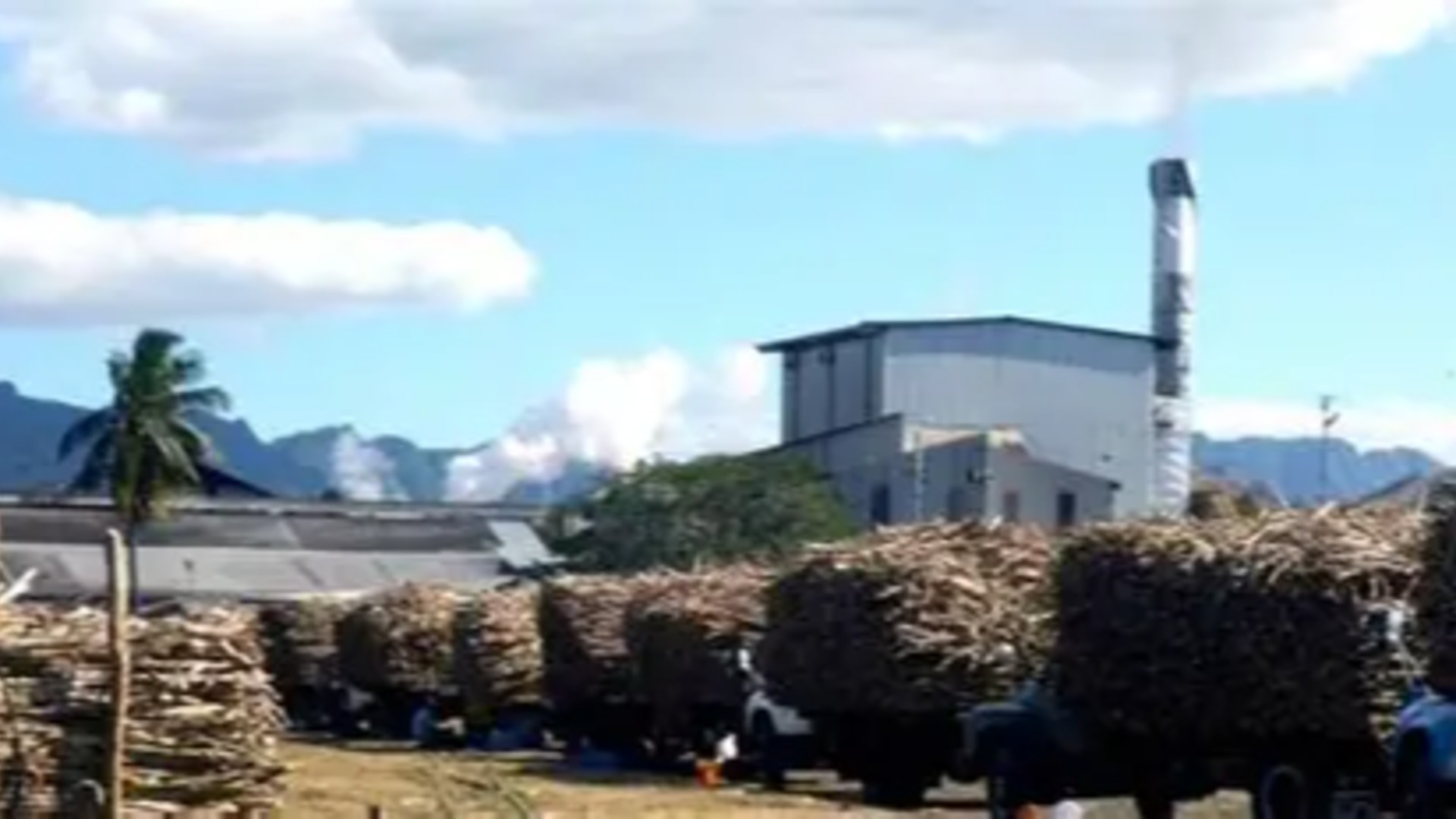 Gallau, Rakiraki farmers choose harvesting over strike despite challenges