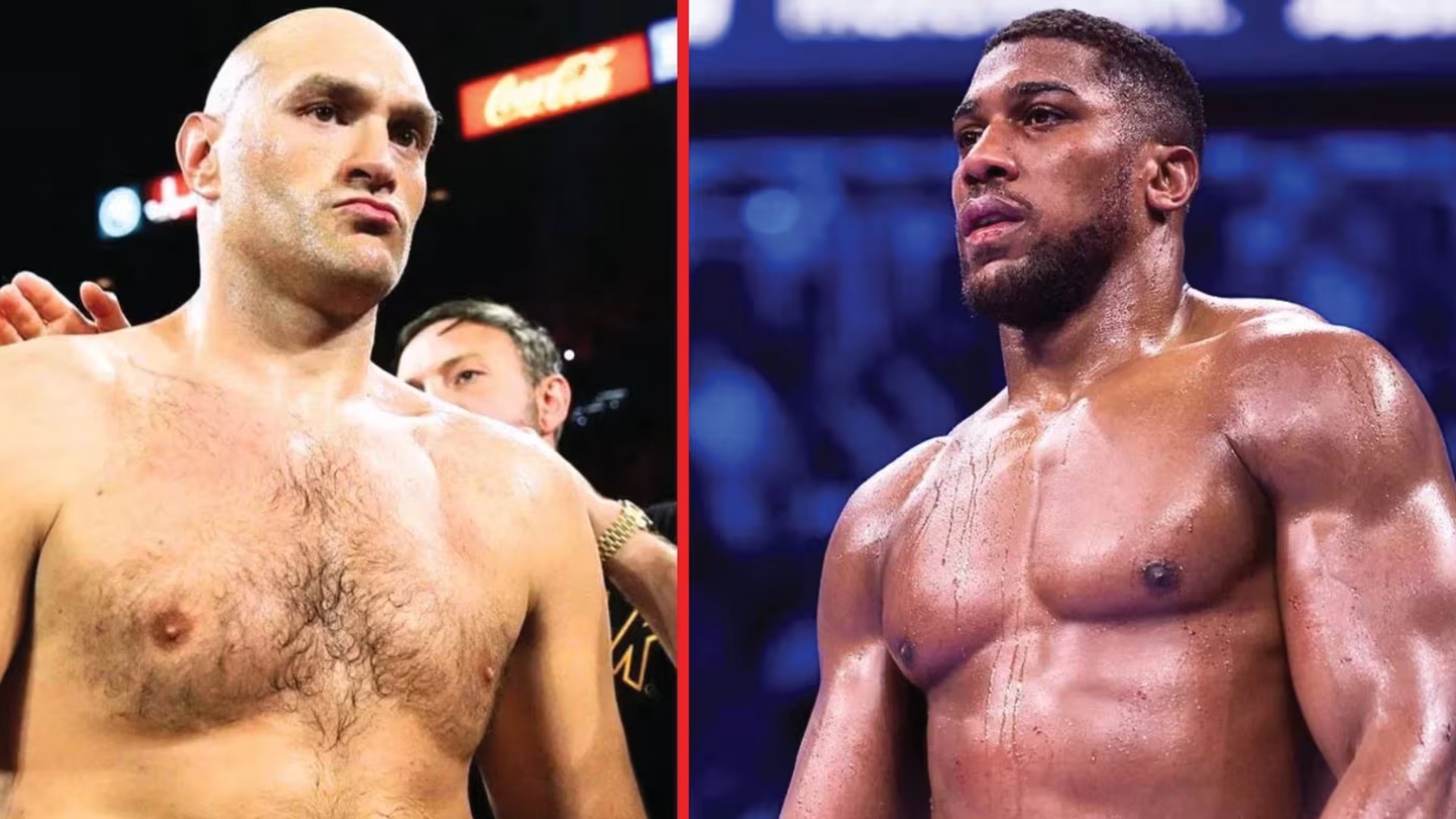 Only defeat or injury will stop Joshua vs Fury fight, says Hearn