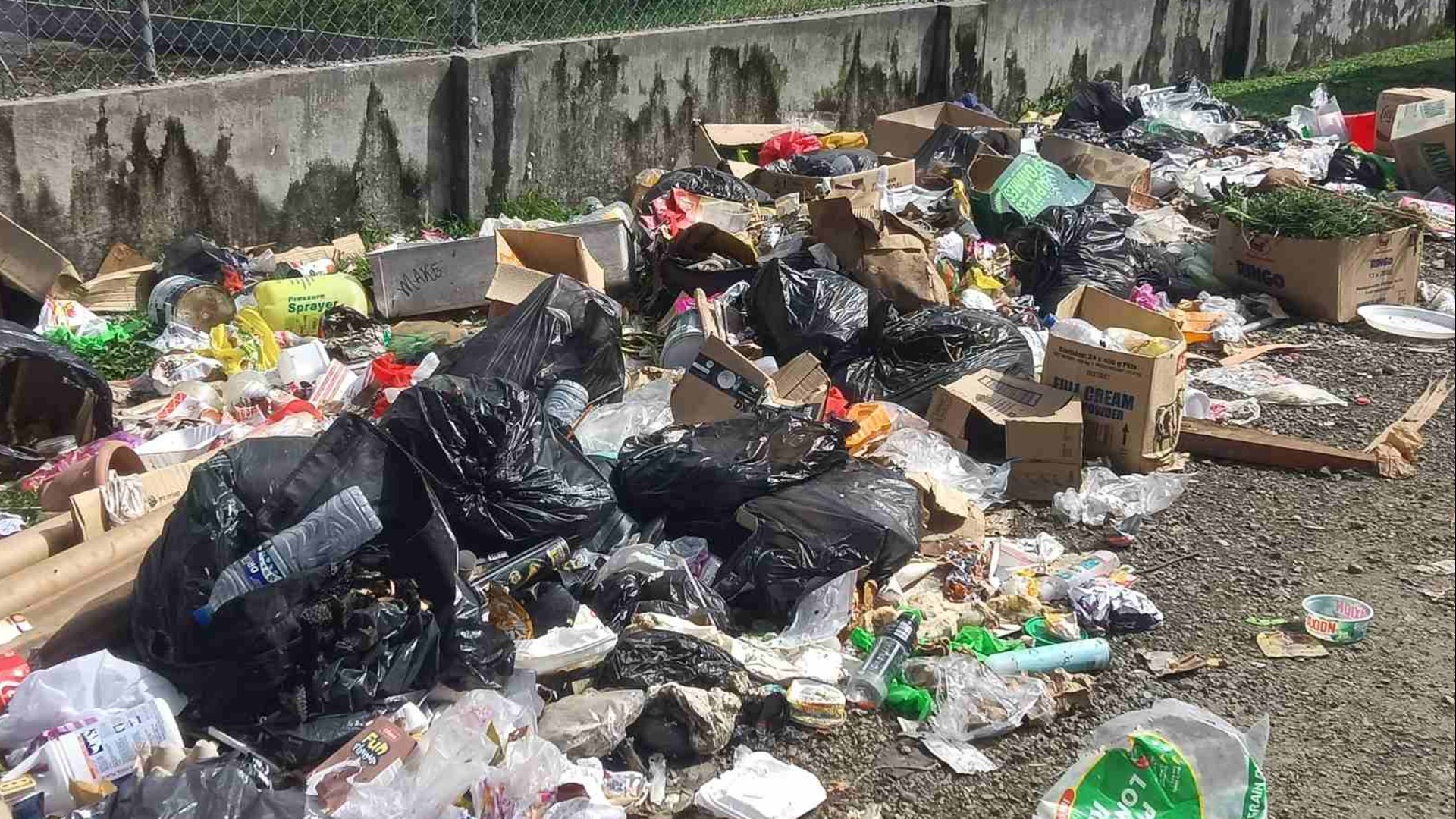 Overflowing rubbish sparks health fears among Cunningham residents