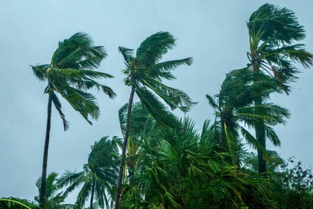 Strong Wind Alert remains in force for parts of Fiji