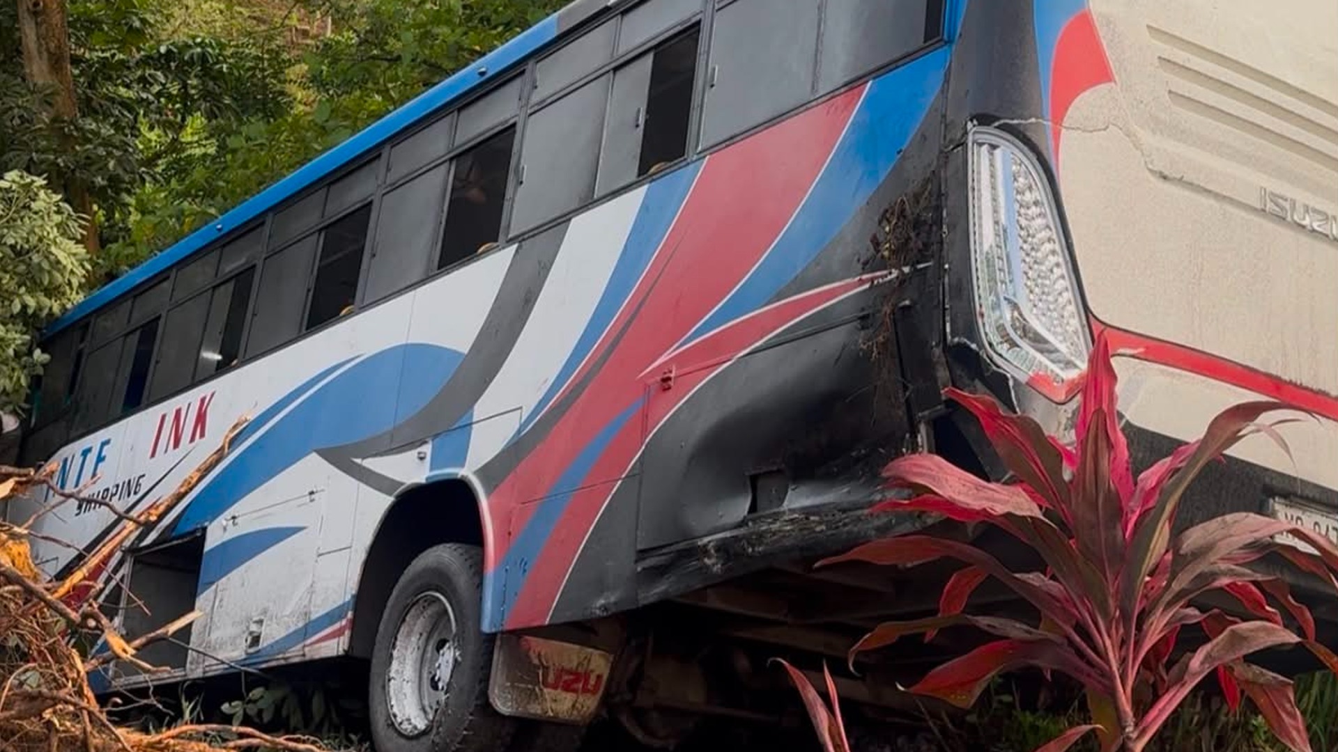 Bus driver hospitalised after bus veers off road at Tacirua Village