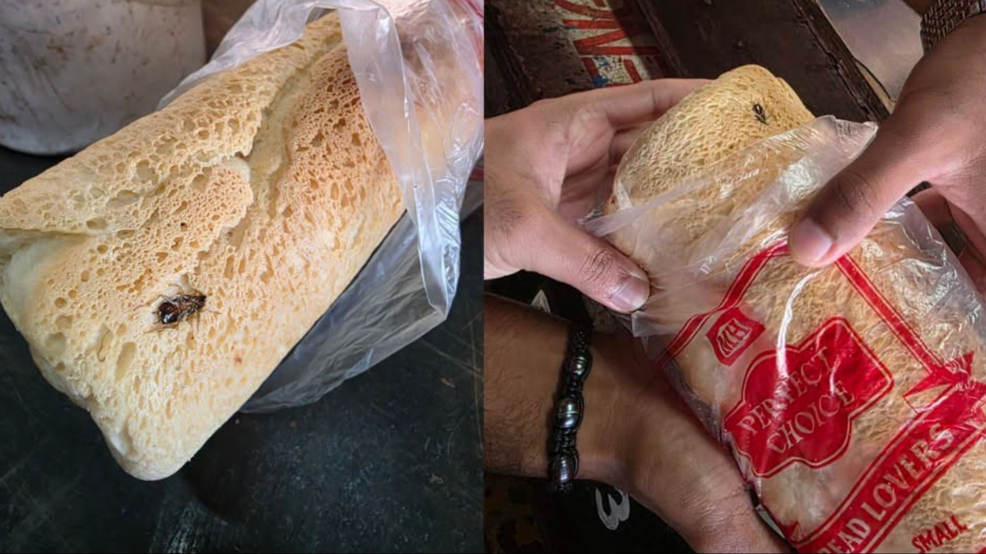 Cockroach found in a loaf of bread