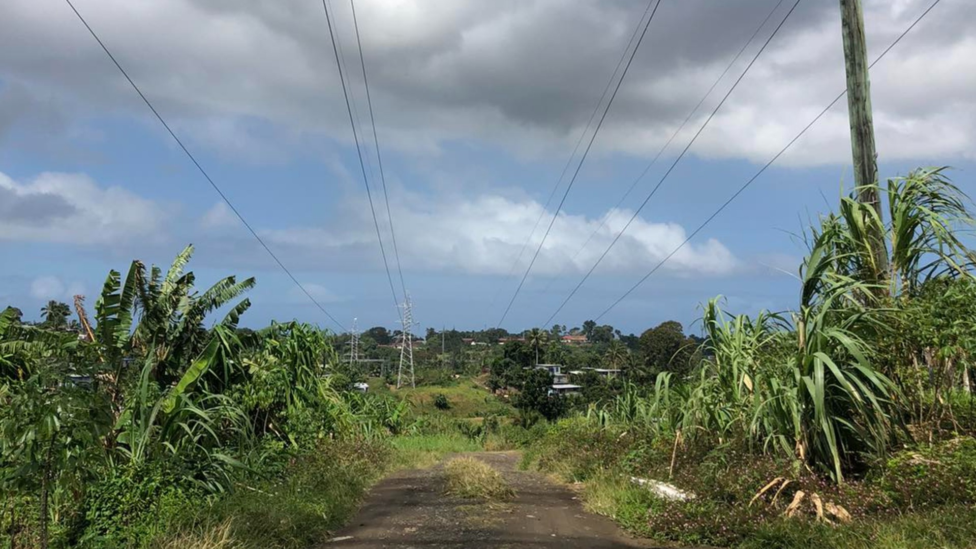 Repeated thefts and robberies forcing Cunningham residents to live in fear