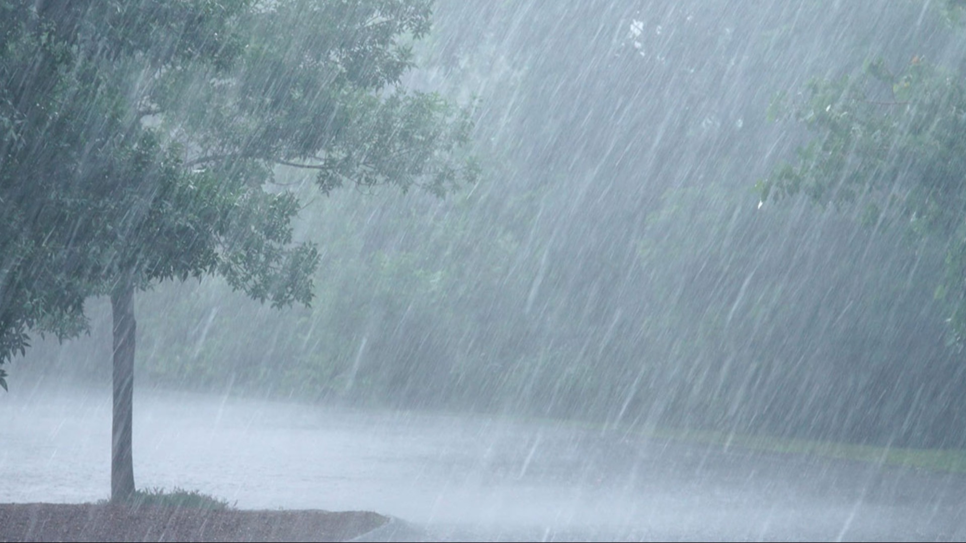 Heavy Rain Alert in force for parts of Fiji