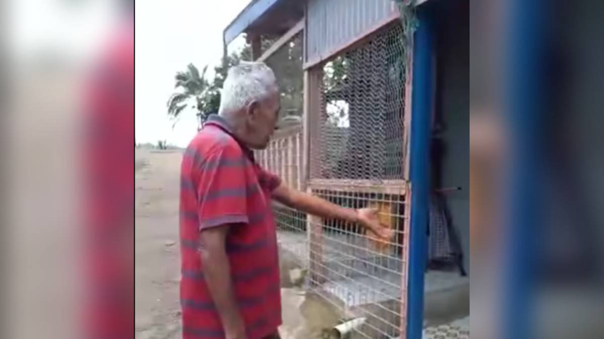 80-year-old shaken after home broken into in Khalsa Rd, suspect in custody