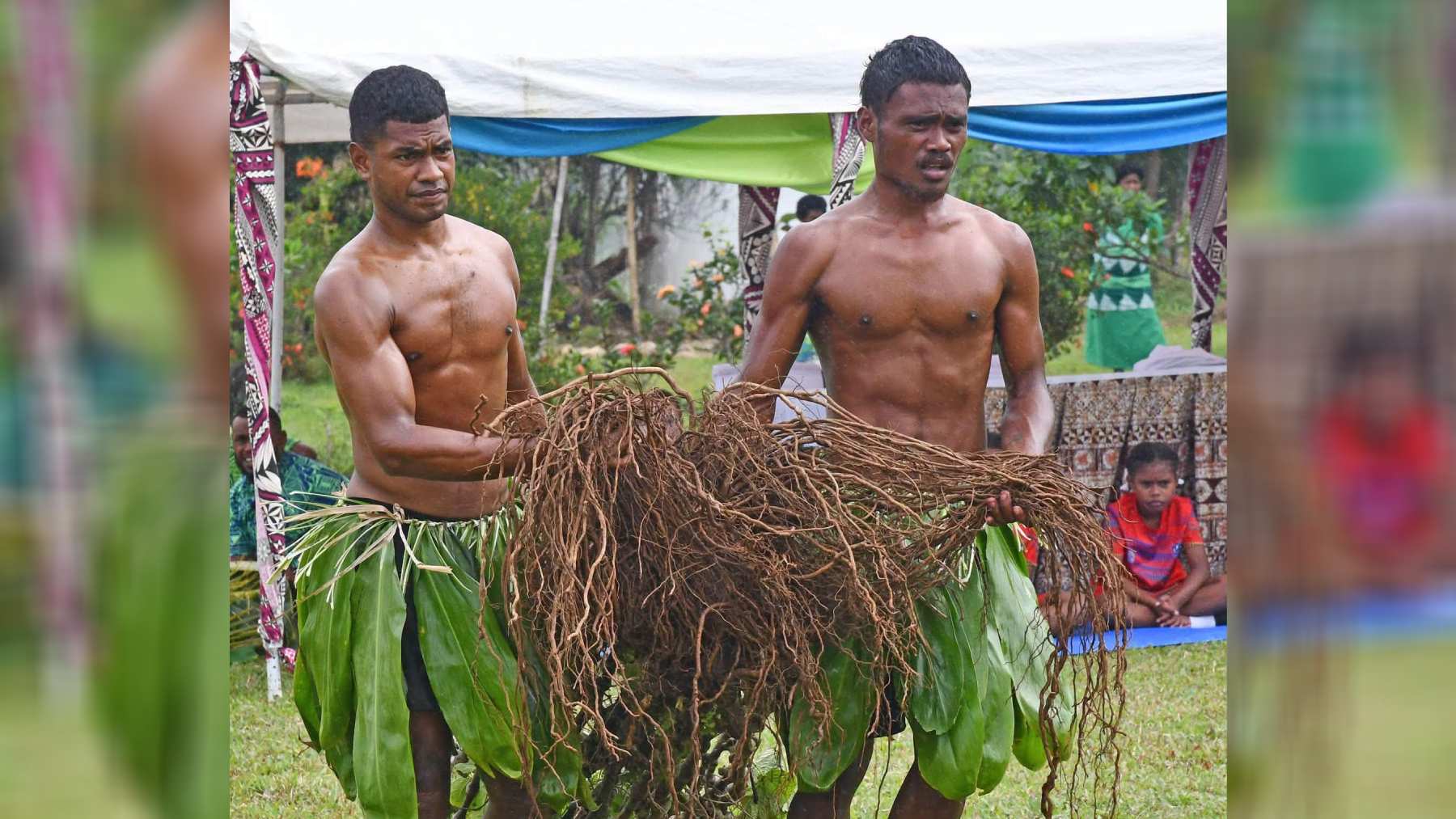Kava Bill 2026 is not law yet, public will get another chance to have their say - Rabuka