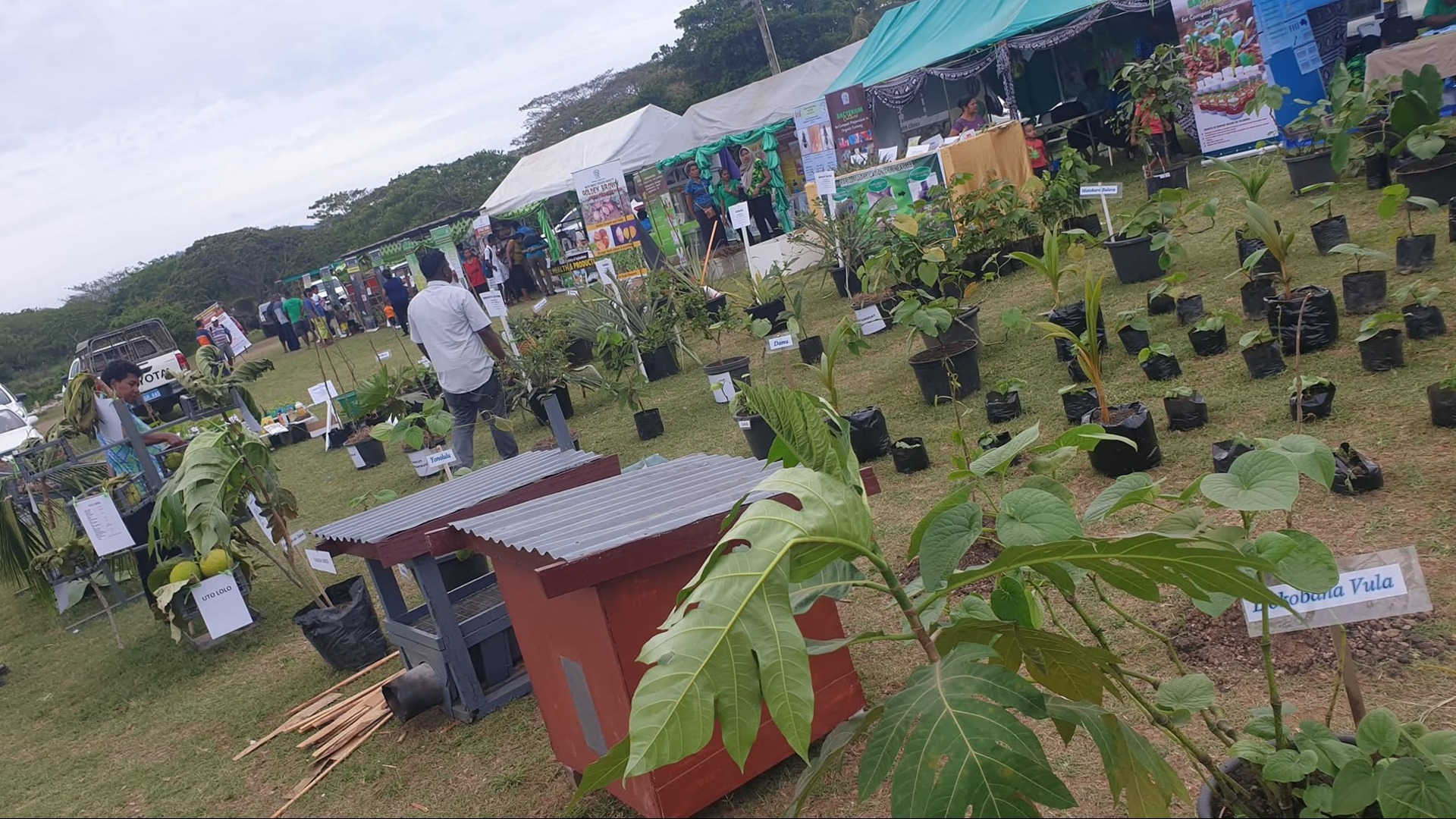 National Agriculture Show returns to Labasa after six-years, farmers to learn new farming methods