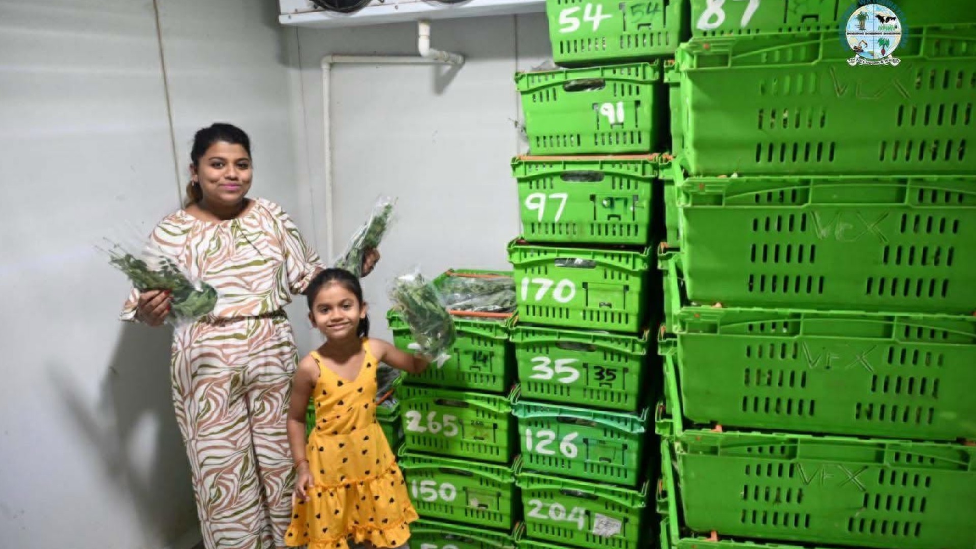 Sigatoka couple turns family garage operation into growing export business