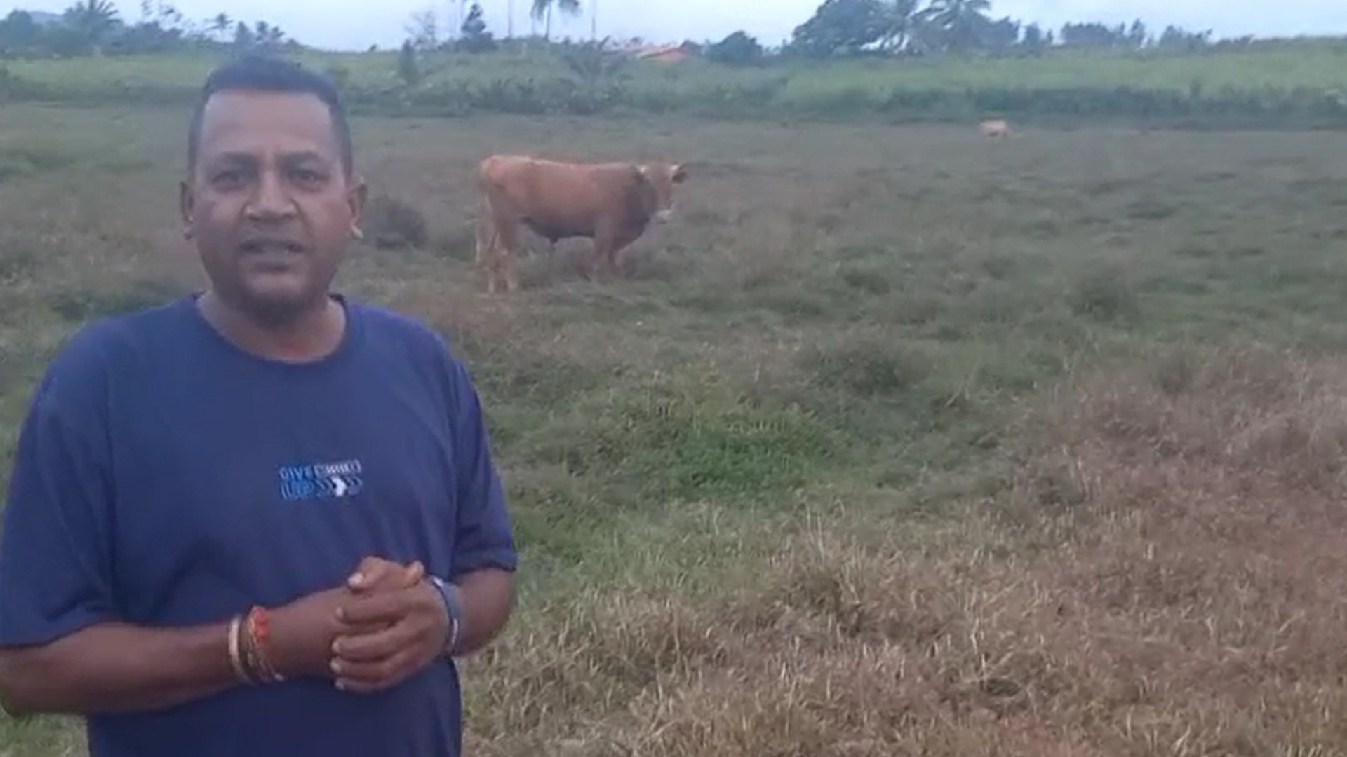 Seaqaqa farmer fears cattle losses as dry conditions worsen