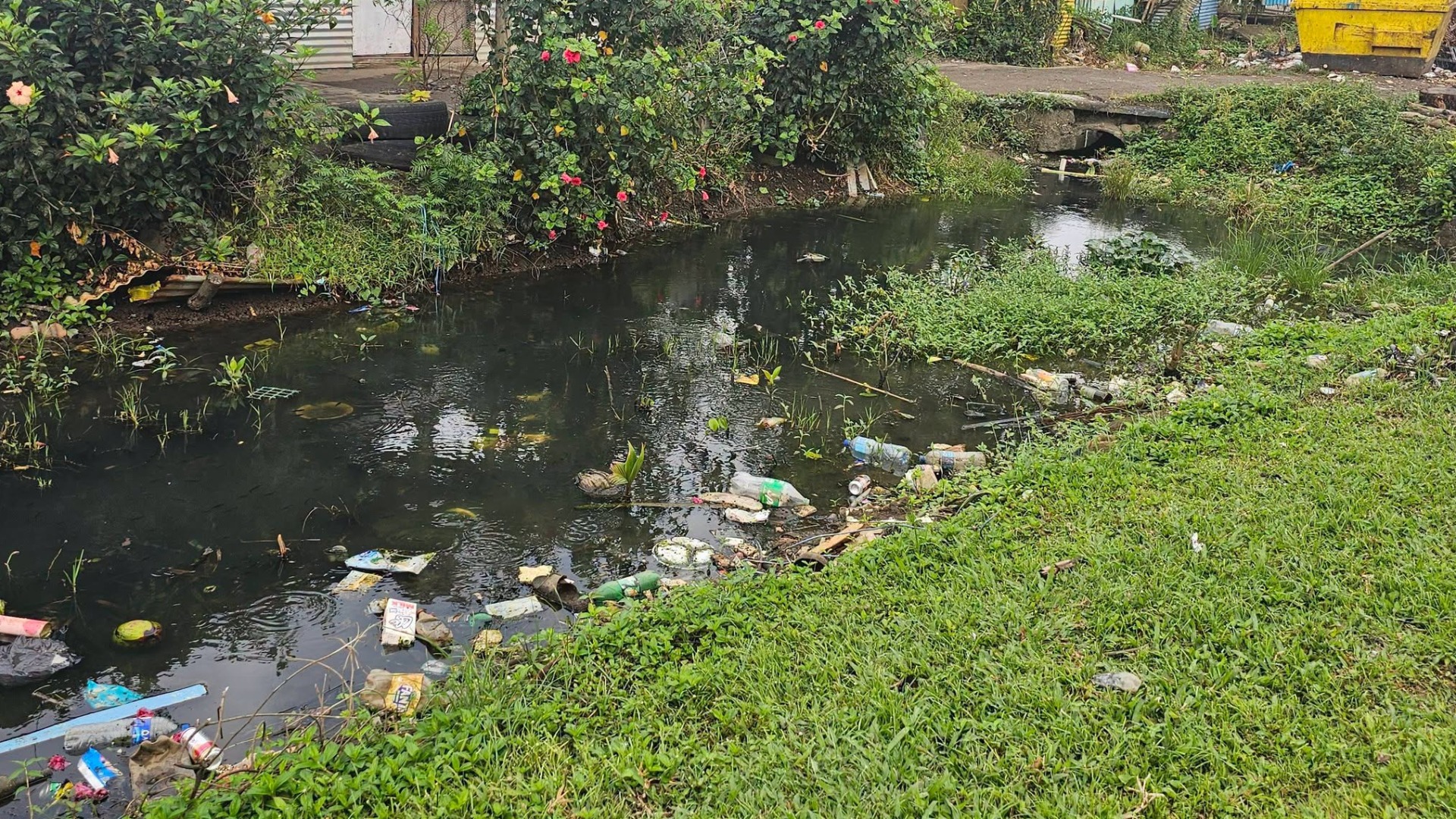 Blocked Nanuku Creek raises health concerns as wastewater flows into Rifle Range drains