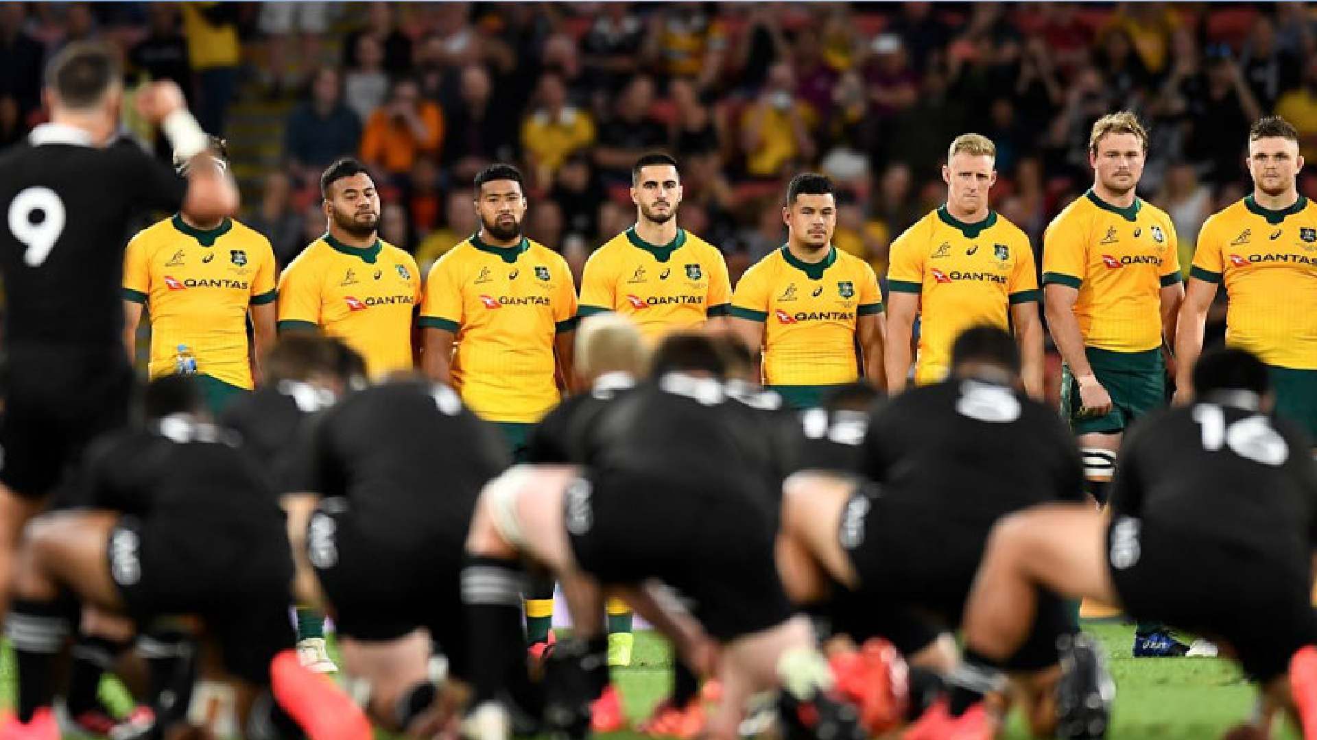 All Blacks aim to extend Bledisloe Cup reign against Wallabies