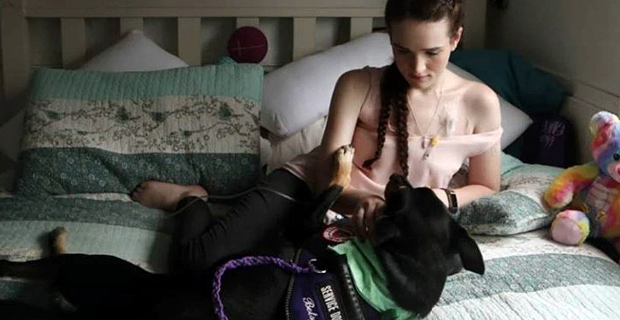 Australian woman's dog knows she will get sick before she does