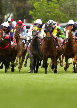 Melbourne Cup today