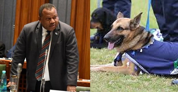 Drug Detector Dog Unit intercepted hard drug cases with a street value of $63m from 2017-2019