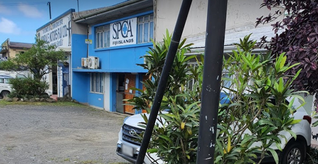 SPCA Fiji responds to claims it did not act fast enough in the animal cruelty case in Raiwai 