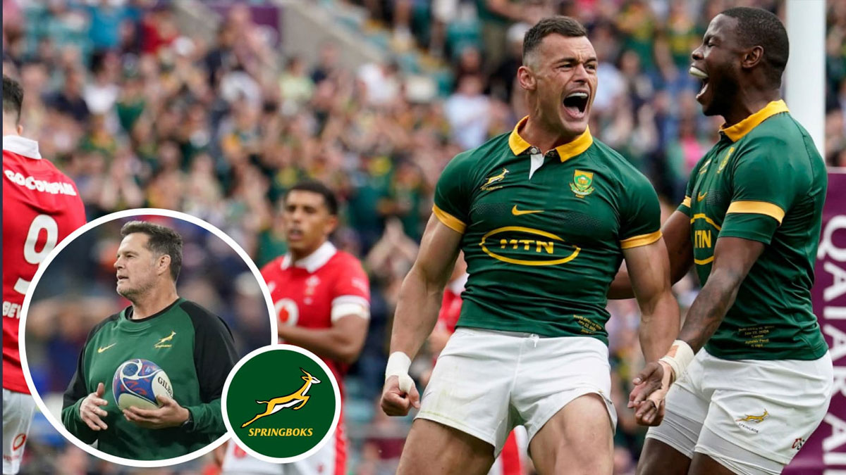 Springboks break record set by rivals England as they rout Wales 73-0