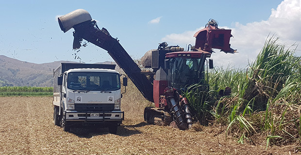 Three sugar mills crush over 1.4 million tonnes of sugar cane till the 28th of last month