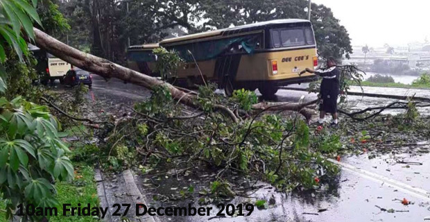 Contractors still working on clearing fallen trees along Edinburgh Drive in Suva